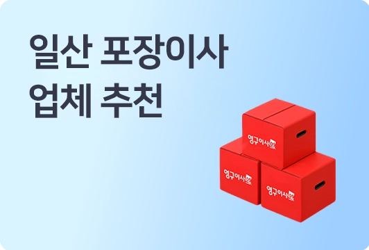 일산 포장이사 업체 추천