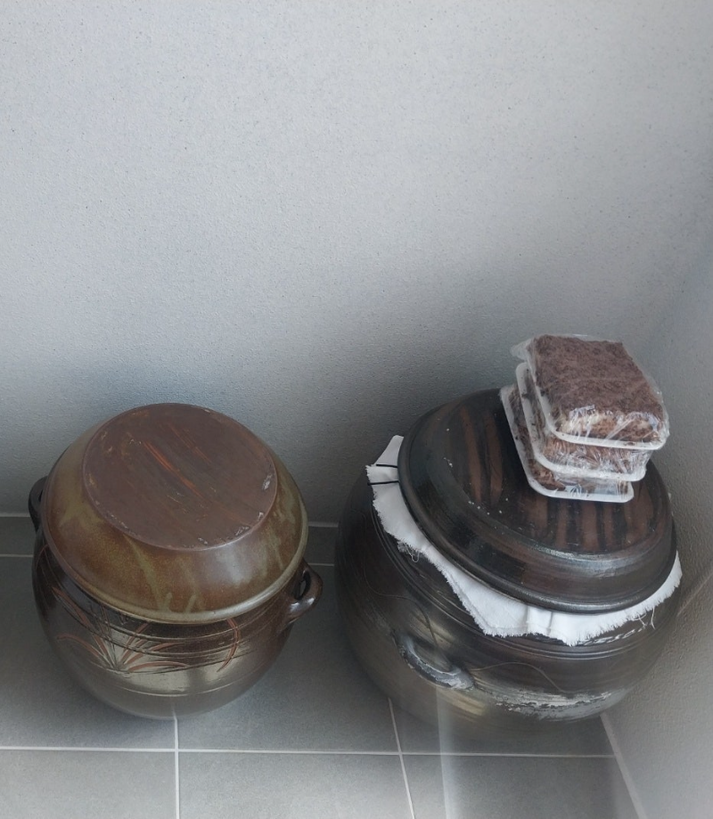 KakaoTalk_20260417_142827929_01.jpg