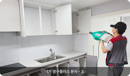 1차 영구플러스 분사 - 3