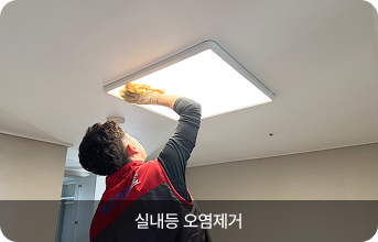 실내등 오염제거